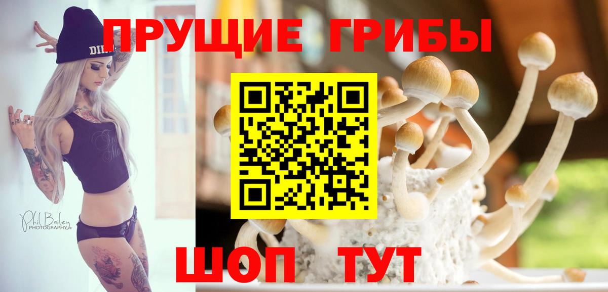 Галлюциногенные грибы GOLDEN TEACHER  Вход с VPN  Канск 