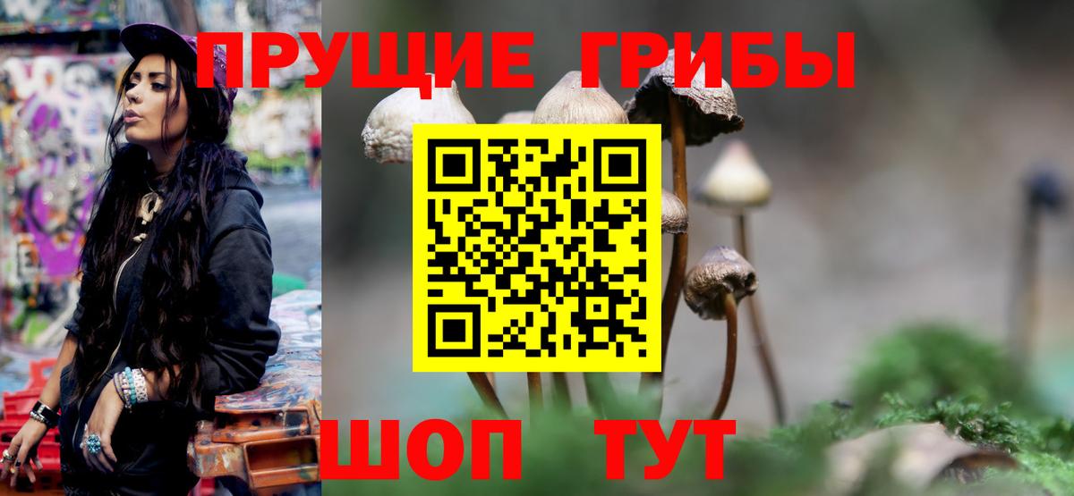 Псилоцибиновые грибы GOLDEN TEACHER Канск